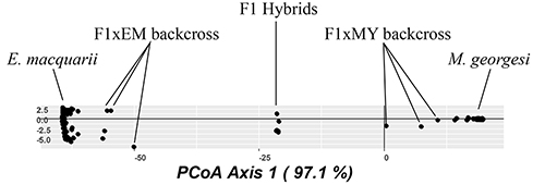 PCoA_introgression_small.jpg